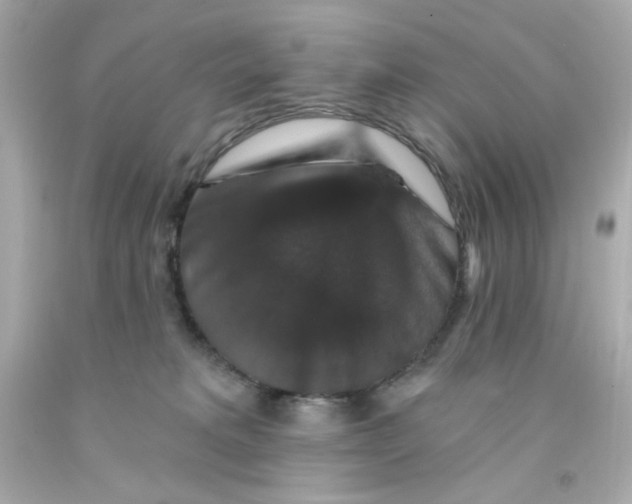 X0000093130229200710241329