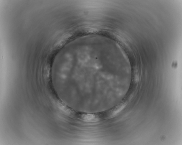 X0000093130230200710241329