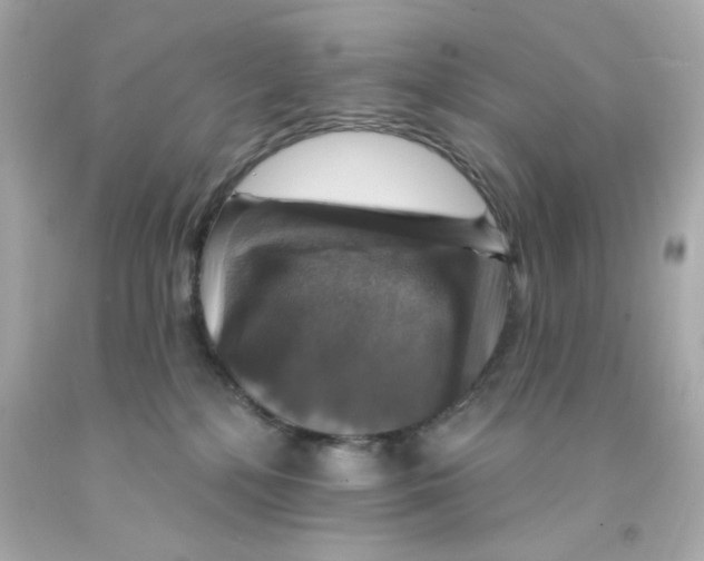 X0000093130232200710241329