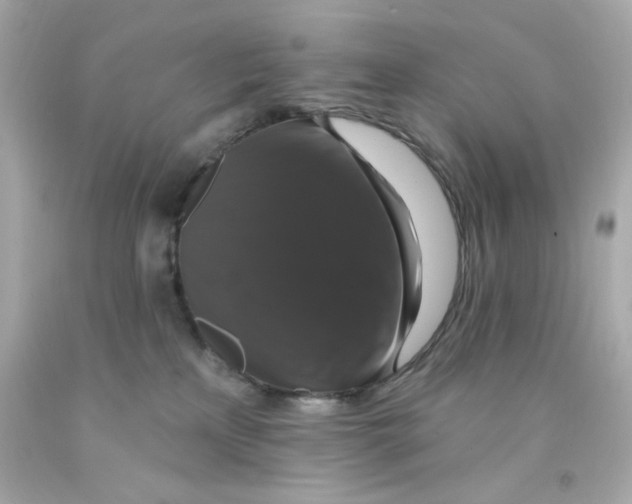 X0000093130233200710241329