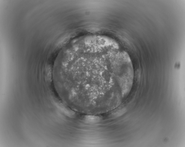 X0000093130234200710241329