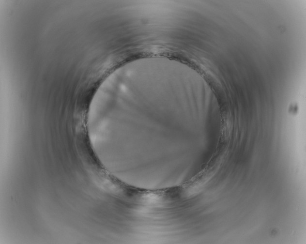 X0000093130236200710241329