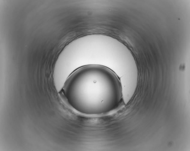 X0000093130237200710241329