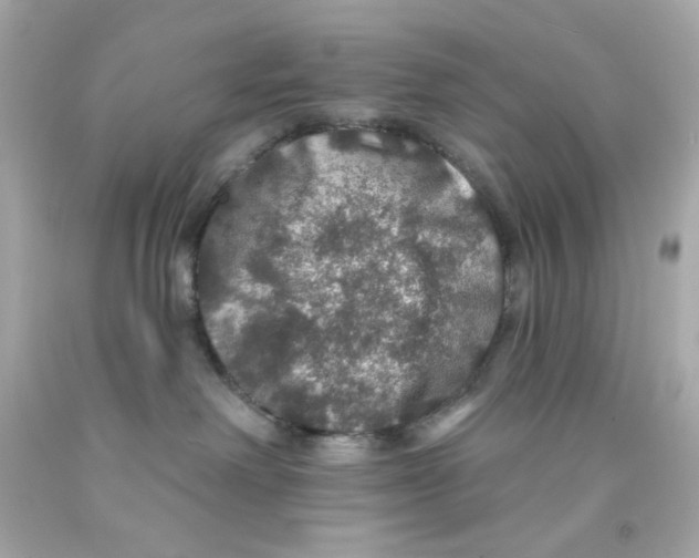 X0000093130238200710241329