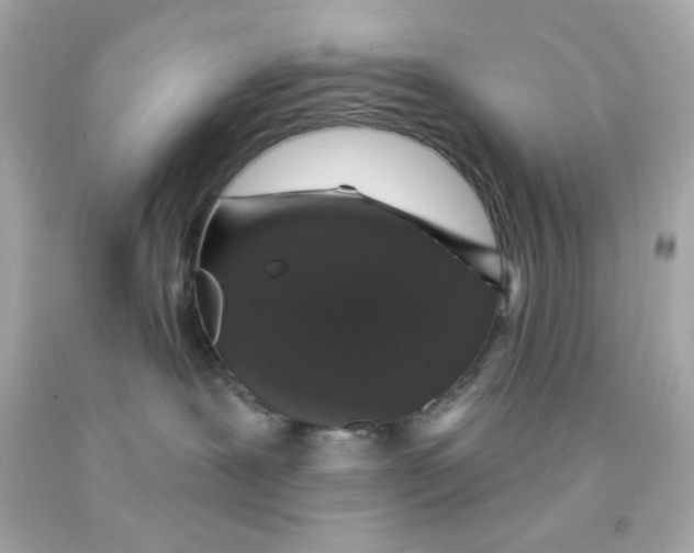 X0000093130239200710241329