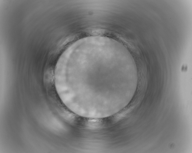 X0000093130240200710241329