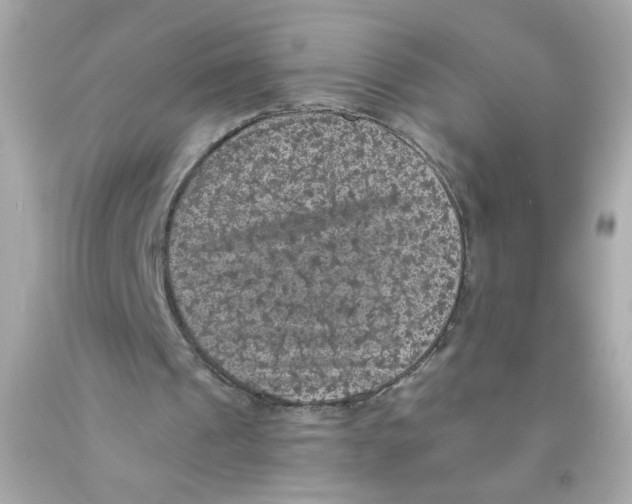 X0000093130241200710241328