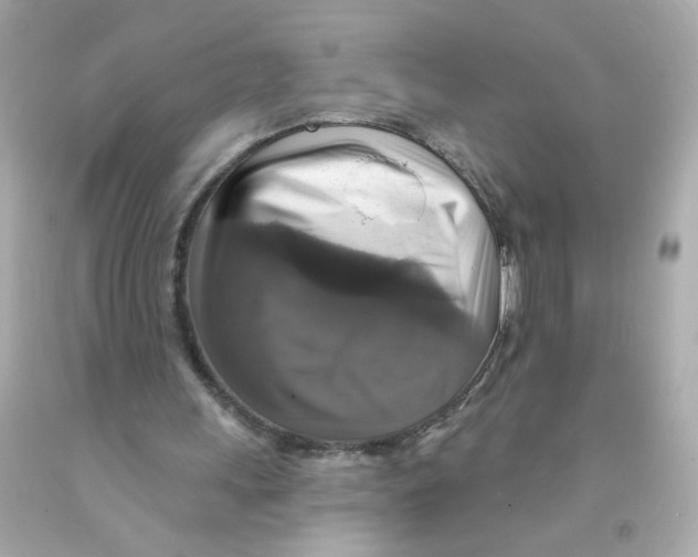 X0000093130243200710241328