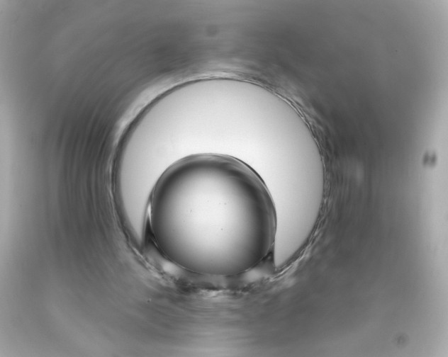 X0000093130244200710241328