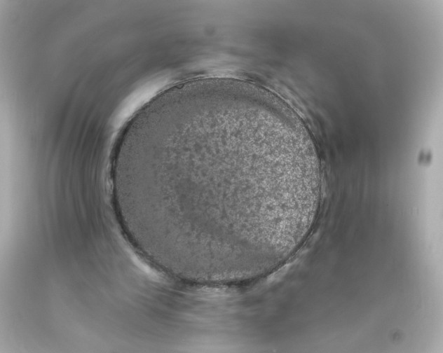 X0000093130245200710241328