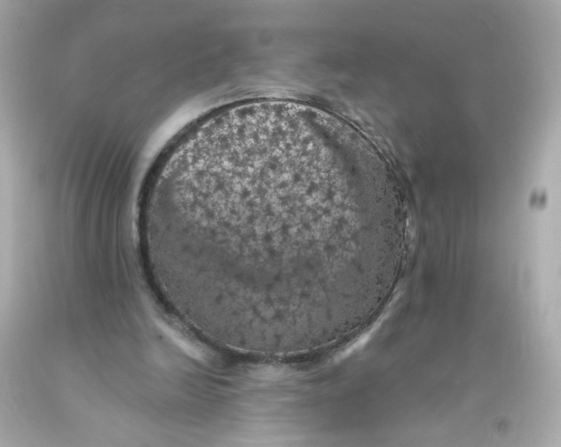 X0000093130246200710241328