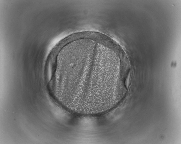 X0000093130248200710241328