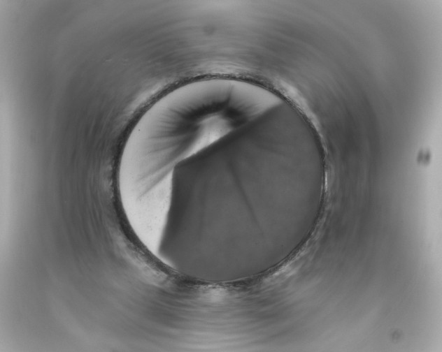 X0000093130249200710241328