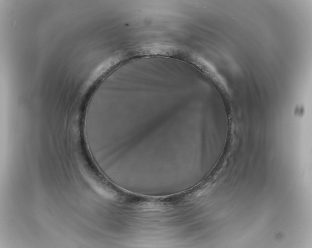 X0000093130250200710241328