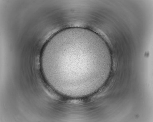X0000093130251200710241328