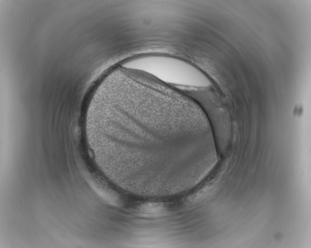 X0000093130252200710241328
