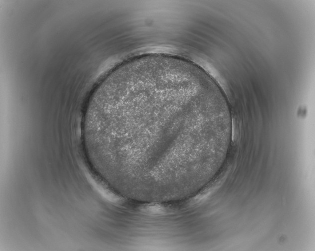 X0000093130253200710241328