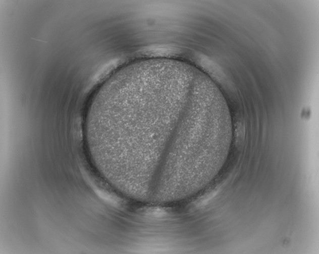 X0000093130254200710241328