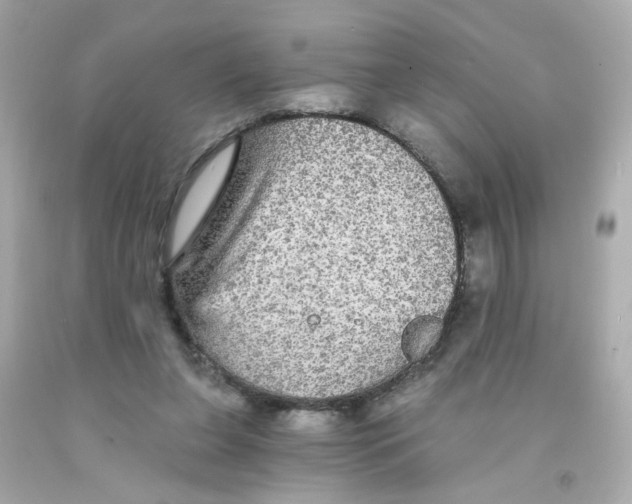 X0000093130255200710241328
