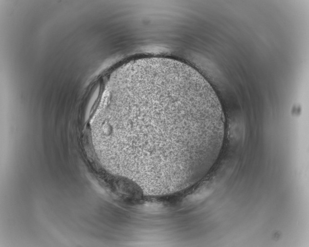 X0000093130256200710241328
