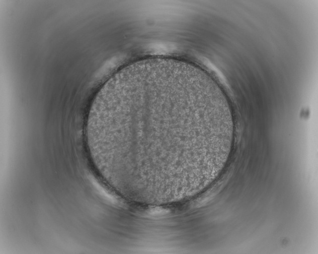 X0000093130257200710241328