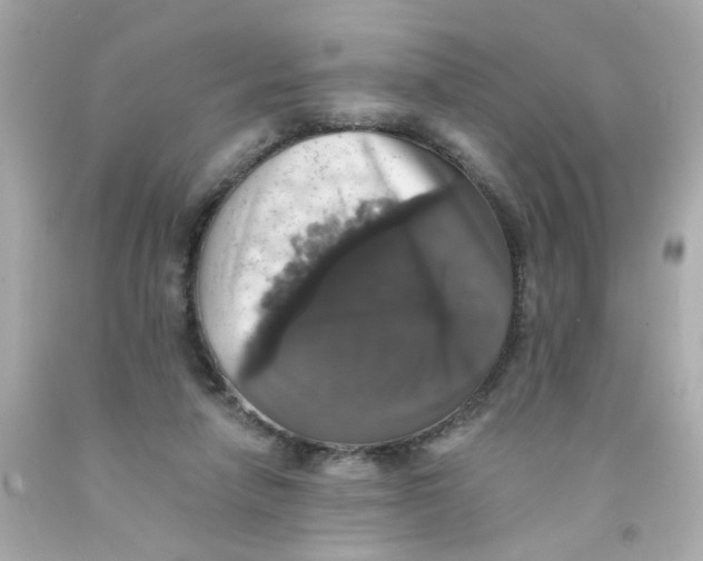 X0000093130258200710241328