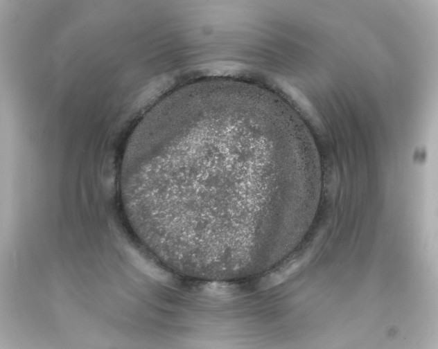 X0000093130261200710241328