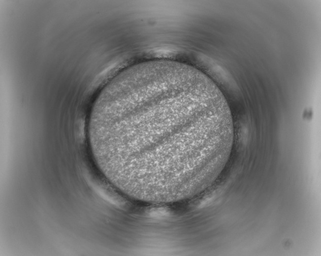 X0000093130262200710241328