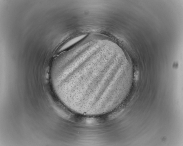 X0000093130264200710241328