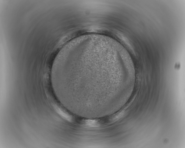 X0000093130265200710241328