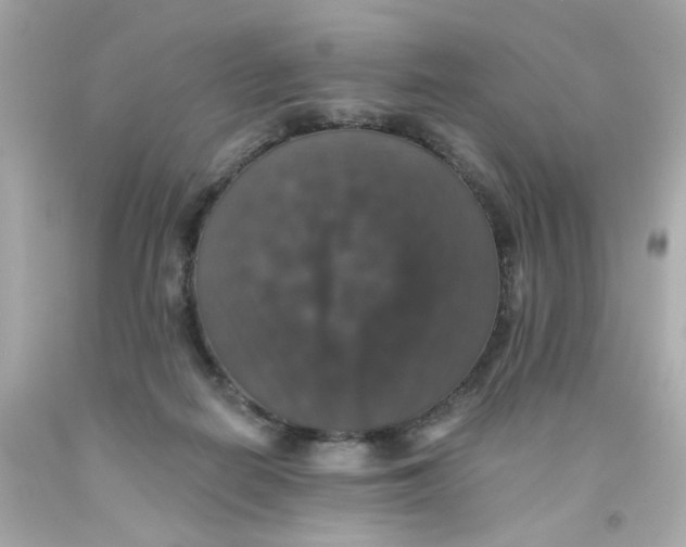 X0000093130266200710241328
