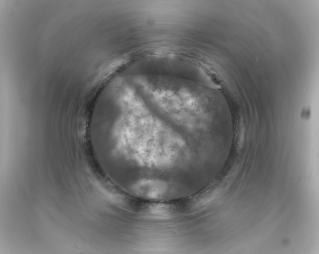X0000093130268200710241328