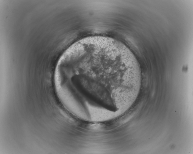 X0000093130269200710241328