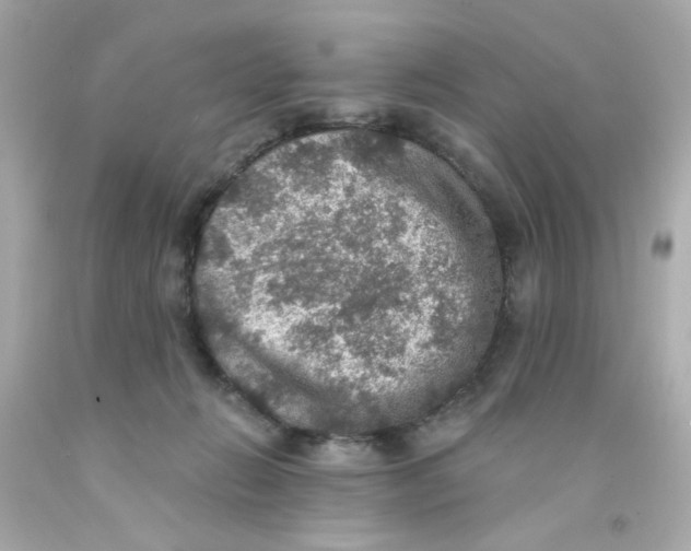 X0000093130270200710241328