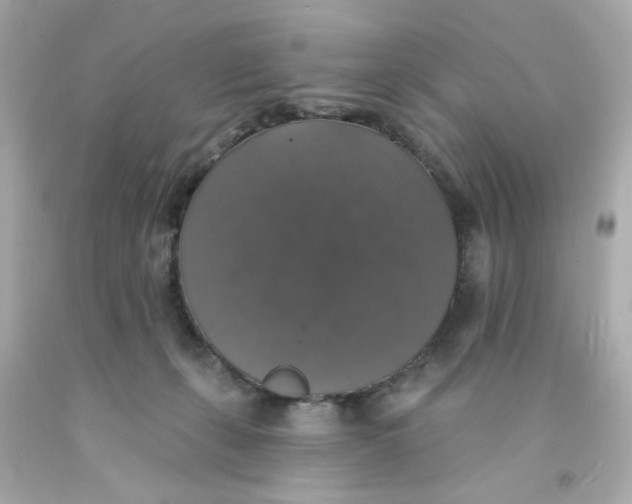 X0000093130271200710241328