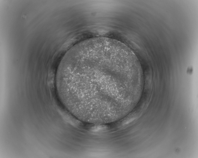 X0000093130274200710241328