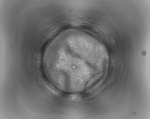 X0000093130275200710241328