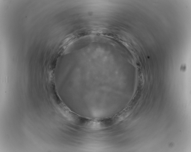 X0000093130276200710241328