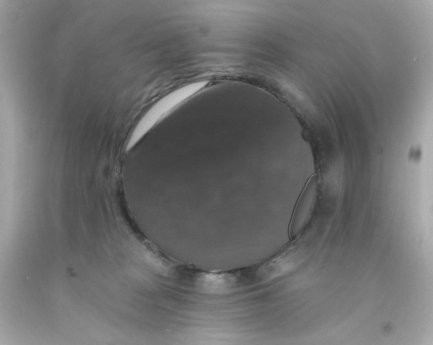 X0000093130277200710241328