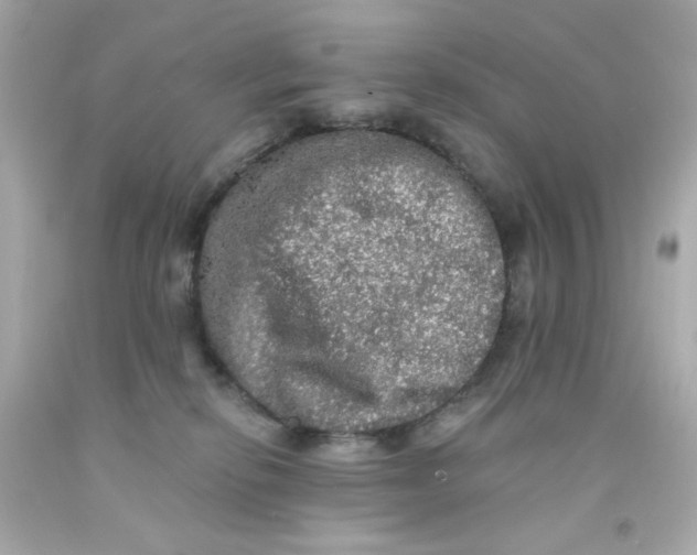 X0000093130278200710241328