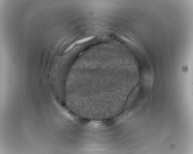 X0000093130280200710241328