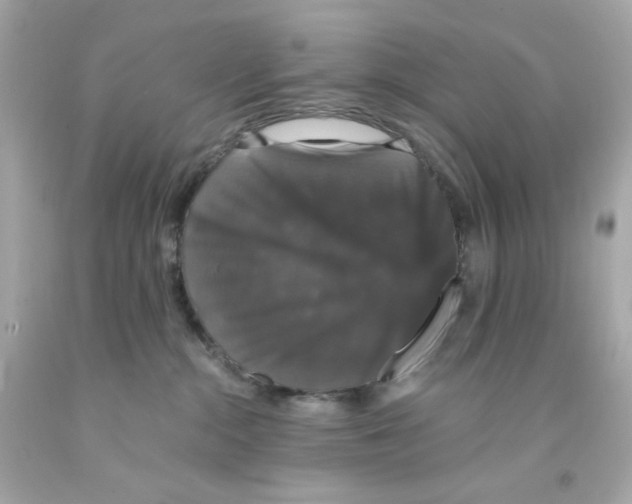 X0000093130284200710241328
