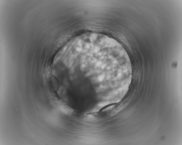 X0000093130285200710241328