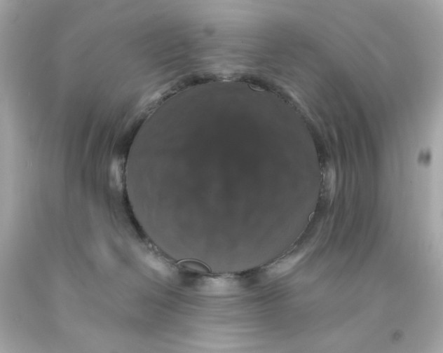 X0000093130286200710241329
