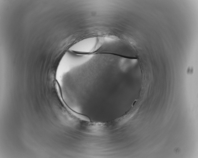 X0000093130288200710241329