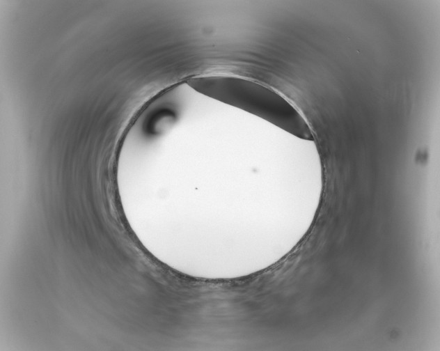 X0000093130289200710241328