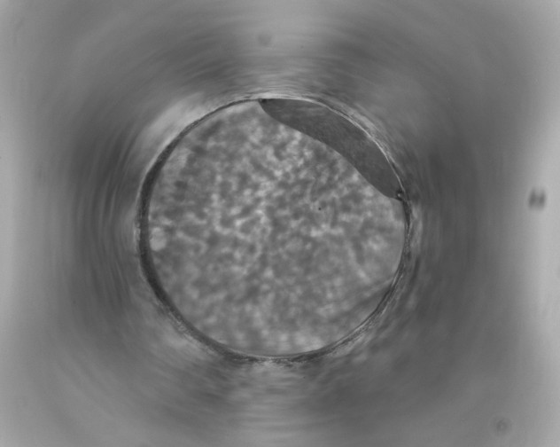X0000093130290200710241328