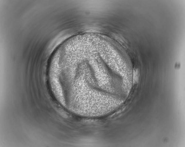 X0000093130291200710241328