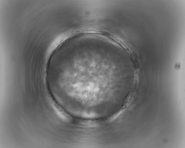X0000093130293200710241328