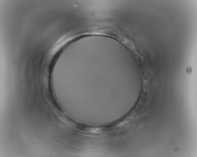 X0000093130295200710241328